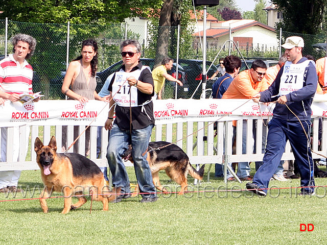 016.jpg - Classe Juniores femmine Fixi degli Arvali e Zinka del Miglio d'Oro