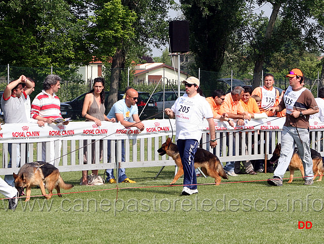 018.jpg - Classe Juniores femmine Nenè dell'Isolotto e Perla di Casa Ines