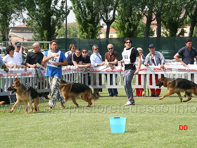 076.jpg - Classe giovanissimi maschi: Vando di Zenevredo, Iso di Ca' San Marco e Lux Valentinientis