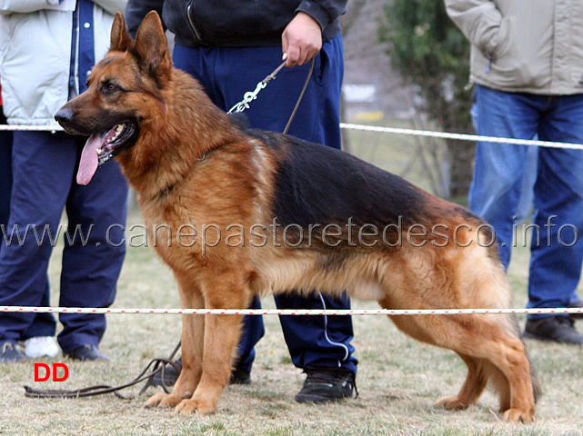 114.jpg - Lavoro maschi 3 Tipo Bellona