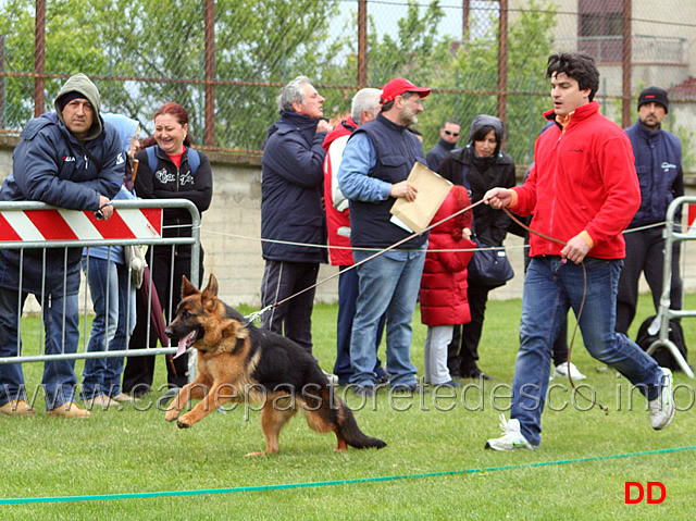 020.jpg - Classe Juniores femmine Anita