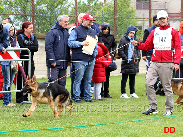 022.jpg - Classe Juniores femmine Xody dell'Isolotto