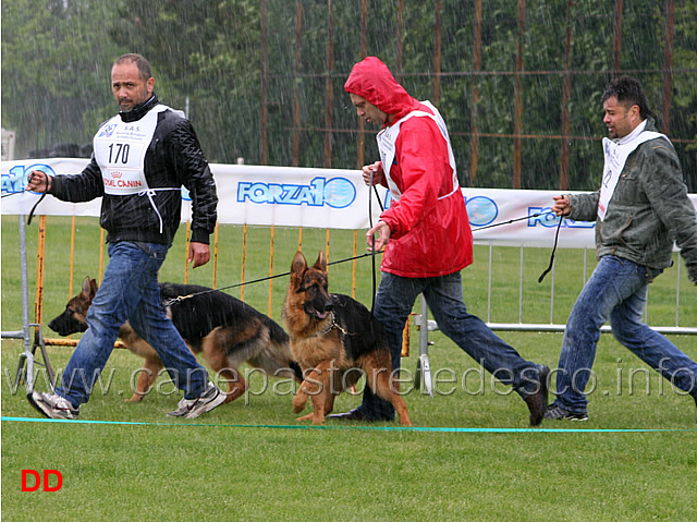 046.jpg - Classe Juniores maschi Nik di Cariddi e Dorian di Federico II di Svevia