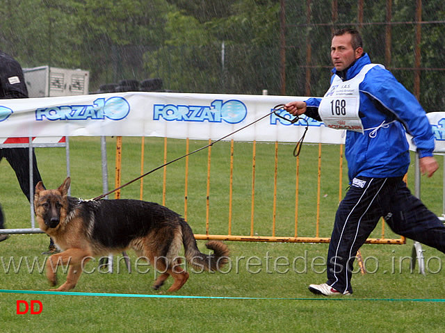 046_.jpg - Classe Juniores maschi Roman del Reventino (con il pettorale di Roy del Reventino)