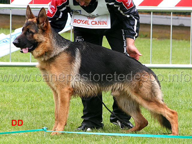 087.jpg - Classe Cuccioloni maschi 1 MB Atos di Gibilmanna