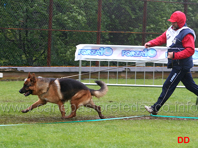 209.jpg - Classe Lavoro maschi Iron della Marca Gioiosa 12 Ecc