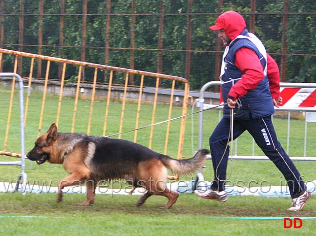 222.jpg - Classe Lavoro maschi Iron della Marca Gioiosa 12 Ecc