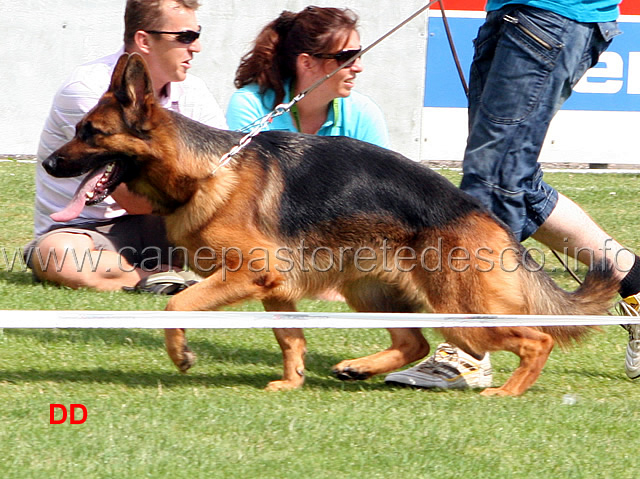 arriba-vom-veterinaria-04.jpg - Lavoro femmine (GHKL H) Arriba von Veterinaria