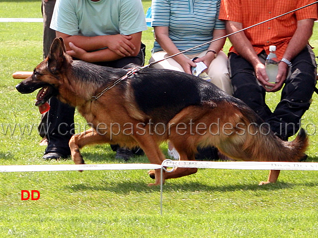 arriba-vom-veterinaria-05.jpg - Lavoro femmine (GHKL H) Arriba von Veterinaria