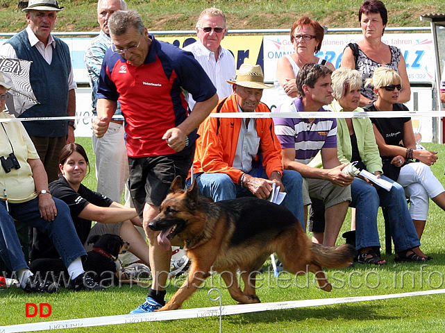 arriba-vom-veterinaria-10.jpg - Lavoro femmine (GHKL H) Arriba von Veterinaria al fuss