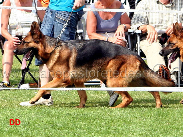 arriba-vom-veterinaria-11.jpg - Lavoro femmine (GHKL H) Arriba von Veterinaria