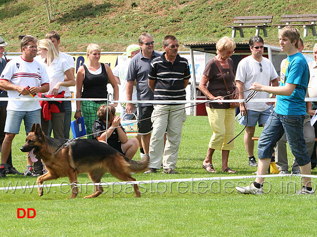 arriba-vom-veterinaria.jpg - Lavoro femmine (GHKL H) Arriba von Veterinaria