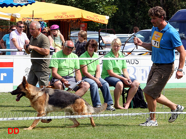 babette-von-der-martinskapelle-02.jpg - Secondo gruppo Lavoro femmine (GHKL H):  Babette von der Martinskapelle V21