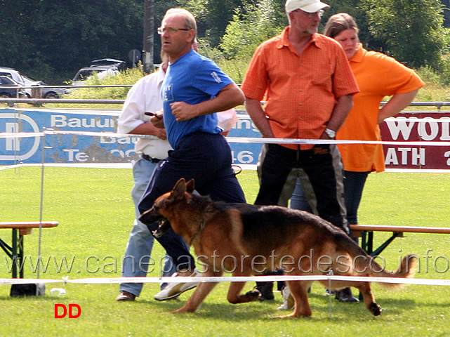 carmelo-maren-con-azzurro-di-chiara-sorgente-03.jpg - Lavoro maschi (GHKL R): Carmelo Maren con Azzurro di Chiara Sorgente al fuss