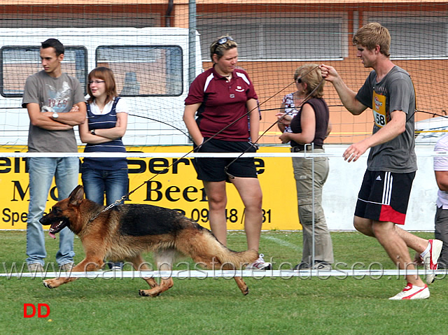 chiara-vom-gebenbacher-land-03.jpg - Lavoro femmine (GHKL H):  Chiara vom Gebenbacher Land