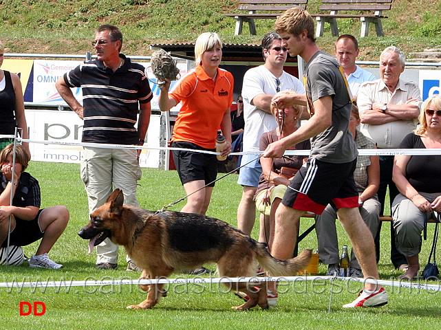 chiara-vom-gebenbacher-land.jpg - Lavoro femmine (GHKL H):  Chiara vom Gebenbacher Land