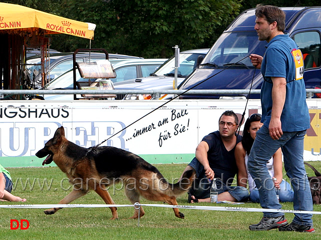 eviana-von-der-kleinen-ranch-03.jpg - Lavoro femmine (GHKL H):  Eviana von der kleinen Ranch