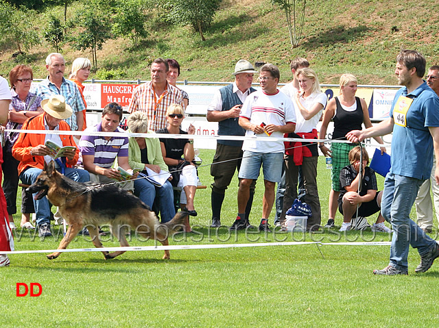 eviana-von-der-kleinen-ranch.jpg - Lavoro femmine (GHKL H):  Eviana von der kleinen Ranch