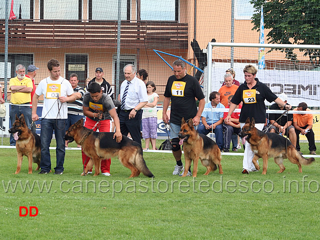 ghkl-ruden.jpg - Lavoro maschi (GHKL R): Arex, Quattro, Rony e Rock