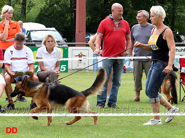 jhkl-h-wendy-von-der-piste-trophe.jpg - Giovani femmine (JHKL H): Wendy von der Piste Trophe