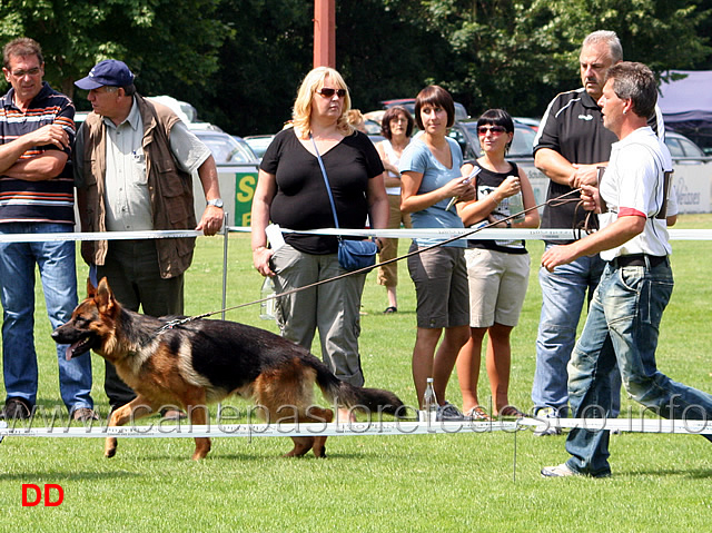 jkl-r-frisby-vom-stieglerhof.jpg - Giovanissimi maschi (JKL R): Frisby vom Stieglerhof