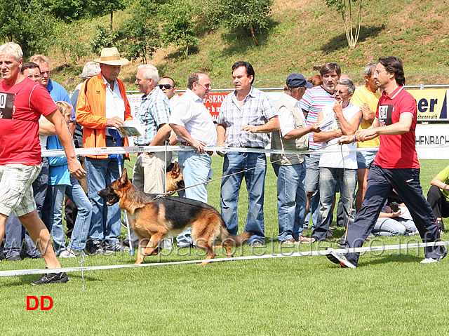 karol-dei-lotito.jpg - Giovanissimi maschi (JKL R): Karol dei Lotito