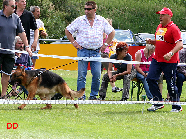 nero-della-gens-pontina-02.jpg - Lavoro maschi (GHKL R): Nero della Gens Pontina