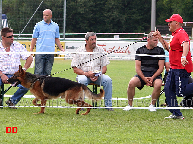 nero-della-gens-pontina-03.jpg - Lavoro maschi (GHKL R): Nero della Gens Pontina