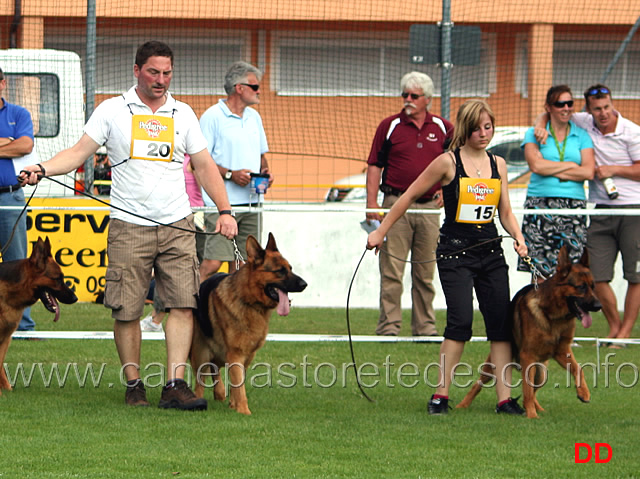 ohio-vom-lastal-e-estor-team-gleisenauer-schloss.jpg - Lavoro maschi (GHKL R): Ohio vom Lastal e Estor Team Gleisenauer Schloss