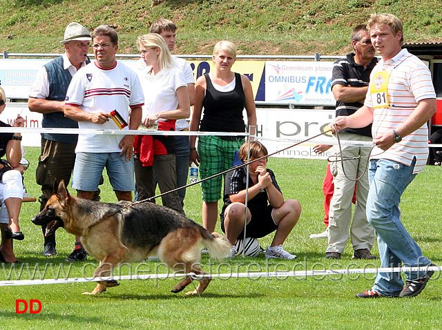 olga-vom-haus-rohner.jpg - Lavoro femmine (GHKL H):  Olga vom Haus Rohner