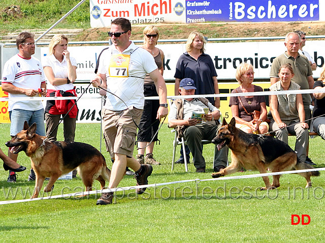 quickie-vom-hohen-haus-e-zora-vom-riedschlurgi.jpg - Lavoro femmine (GHKL H) Quickie vom Hohen Haus e Zora vom Riedschlurgi