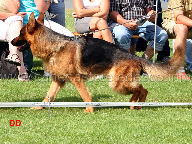 rony-vom-furst-georg-brunnen.jpg - Lavoro maschi (GHKL R): Rony vom Furst Georg-Brunnen