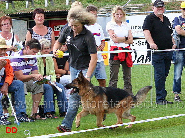 zora-vom-riedschlurgi-04.jpg - Lavoro femmine (GHKL H): Petra Lumpe con Zora Riedschlurgi al fuss