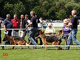 jkl-r-hannes-schloss-rosenfels-e-danger-suentelstein