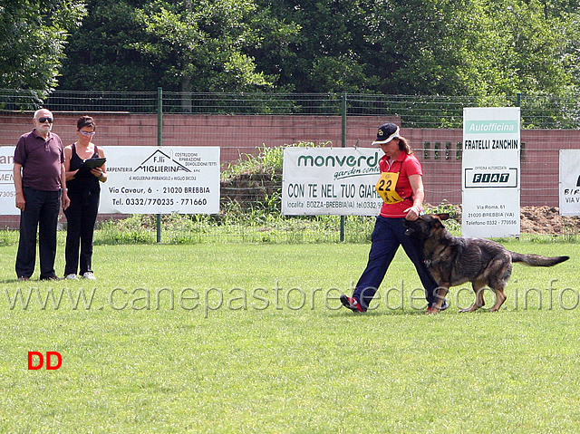 francesca-antonucci-con-ivan-di-oroval-04.jpg - Francesca Antonucci con Ivan di Oroval B punti 80