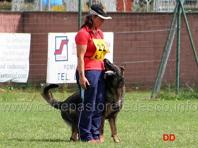 francesca-antonucci-con-ivan-di-oroval-08.jpg - Francesca Antonucci con Ivan di Oroval B punti 80