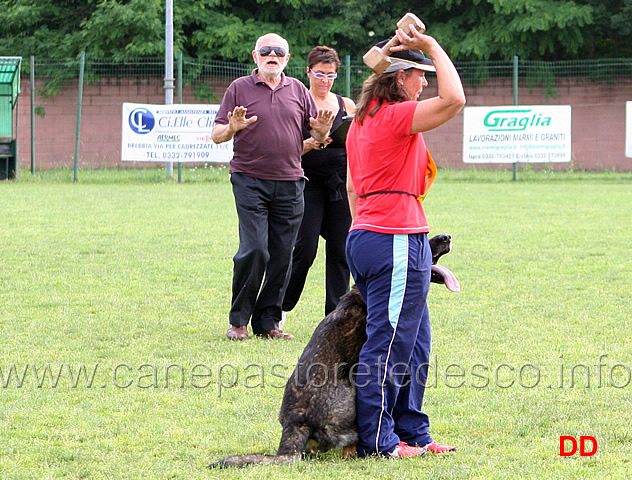 francesca-antonucci-con-ivan-di-oroval-13.jpg - Francesca Antonucci con Ivan di Oroval B punti 80