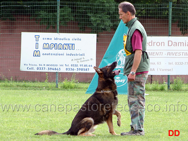 francesco-balestrieri-con-gordan-wolfsblick-02.jpg - Francesco Balestrieri con Gordan vom Wolfsblick B punti 97