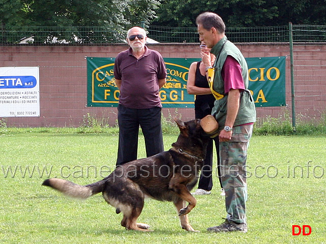 francesco-balestrieri-con-gordan-wolfsblick-05.jpg - Francesco Balestrieri con Gordan vom Wolfsblick B punti 97