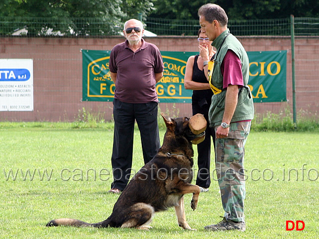 francesco-balestrieri-con-gordan-wolfsblick-06.jpg - Francesco Balestrieri con Gordan vom Wolfsblick B punti 97