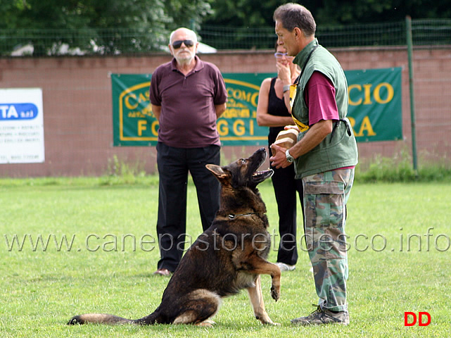 francesco-balestrieri-con-gordan-wolfsblick-07.jpg - Francesco Balestrieri con Gordan vom Wolfsblick B punti 97