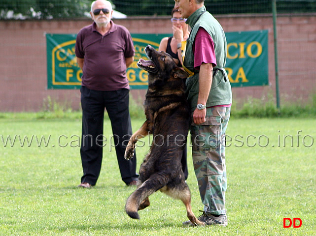 francesco-balestrieri-con-gordan-wolfsblick-08.jpg - Francesco Balestrieri con Gordan vom Wolfsblick B punti 97