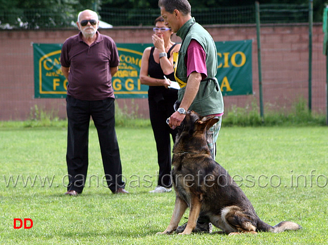 francesco-balestrieri-con-gordan-wolfsblick-09.jpg - Francesco Balestrieri con Gordan vom Wolfsblick B punti 97