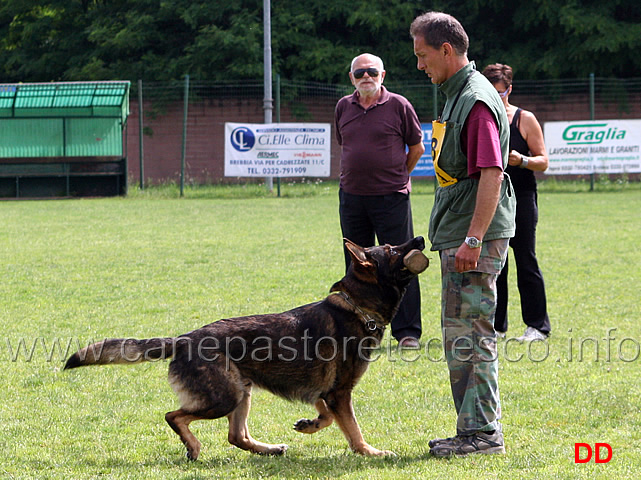 francesco-balestrieri-con-gordan-wolfsblick-10.jpg - Francesco Balestrieri con Gordan vom Wolfsblick B punti 97