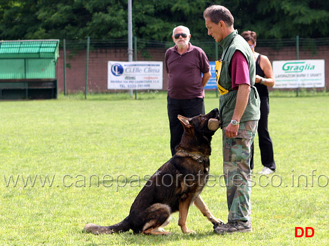 francesco-balestrieri-con-gordan-wolfsblick-11.jpg - Francesco Balestrieri con Gordan vom Wolfsblick B punti 97