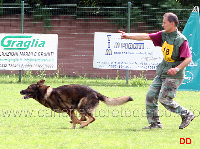 francesco-balestrieri-con-gordan-wolfsblick-12.jpg - Francesco Balestrieri con Gordan vom Wolfsblick B punti 97