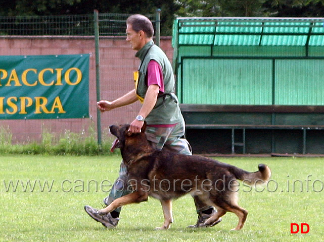 francesco-balestrieri-con-gordan.jpg - Francesco Balestrieri con Gordan vom Wolfsblick B punti 97