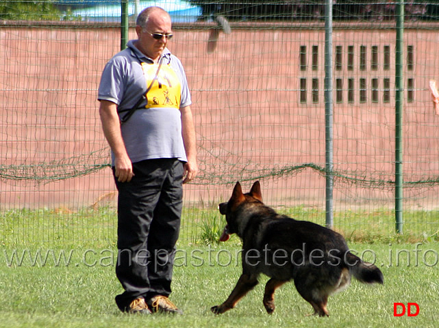 franco-di-vito-con-chito-04.jpg - Franco Di Vito con Chito B punti 93