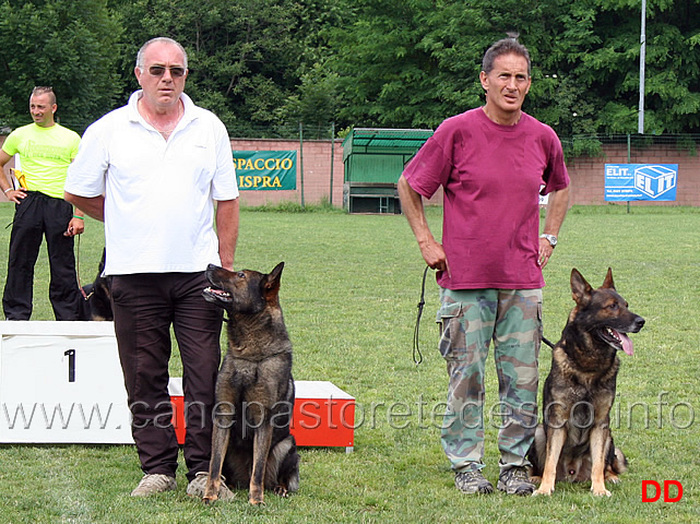 la-squadra-per-la-wusv-franco-di-vito-con-chito-e-francesco-balestrieri-con-gordan.jpg - La squadra che rappresenterà l'Italia alla WUSV 2010:Franco Di Vito con Chito e Francesco Balestrieri con Gordan