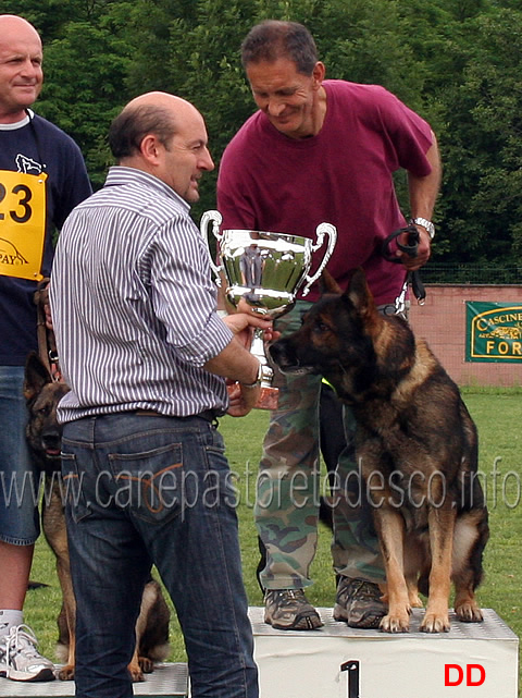 luciano-musolino-premia-francesco-balestrieri-con-gordan-wolfsblick-1-IPO3.jpg - Luciano Musolino premia Francesco Balestrieri con Gordan vom Wolfsblick 1  in IPO3